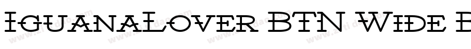 IguanaLover BTN Wide Bd字体转换